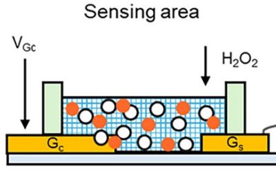 H2o2 Biosensor Robofood – The new science and technology of edible robots and robotic ...