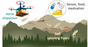 spinFlyer